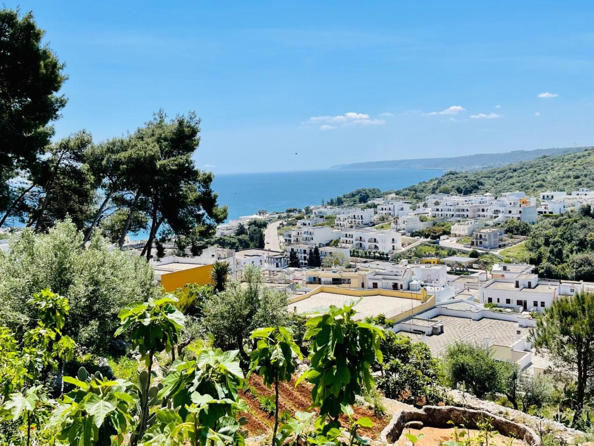 דירות Castro  La Marea מראה חיצוני תמונה